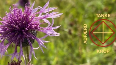 Psykolog Celal Deveci